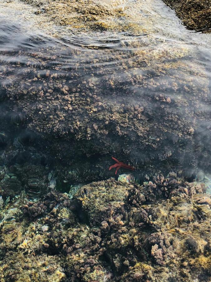 Almadrava Beach 罗萨斯 外观 照片